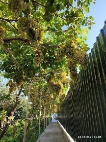 Навоийская область, Бешрабат