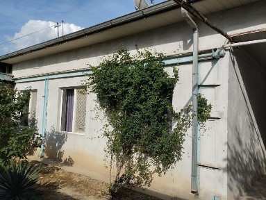 Ташкентская область, Назарбек