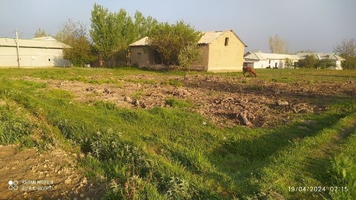 Самаркандская область, Пайарык