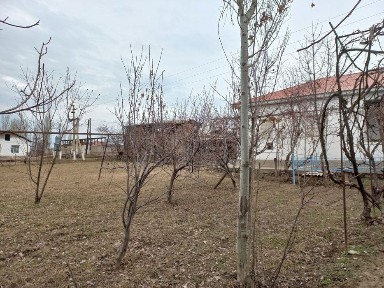 Ташкентская область, Красногорск