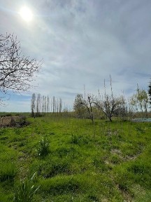 Ташкентская область, Ташморе