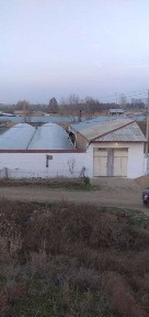 Дала ховли сотилади 8 сотих кадастири бор
