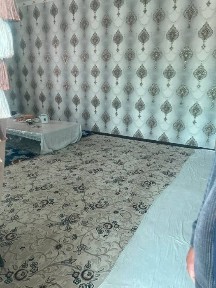 Ташкентская область, Нурафшан (Тойтепа)