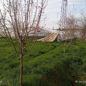 Ташкентская область, Ташкент, Юнусабадский район