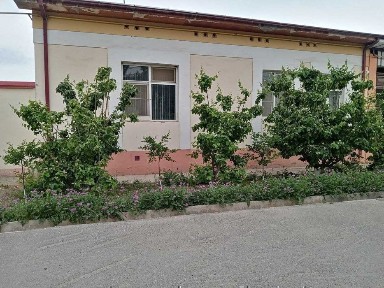 Ферганская область, Фергана