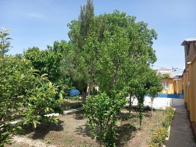 Самаркандская область, Самарканд