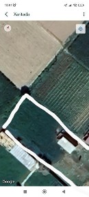 Ташкентская область, Пскент