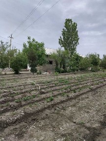 Самаркандская область, Самарканд