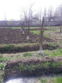 Ташкентская область, Ташкент, Яккасарайский район