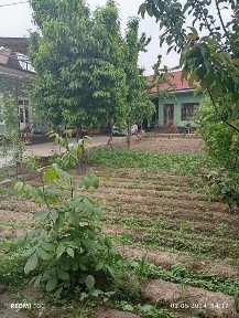 Ховли сотилади. 8 сотик