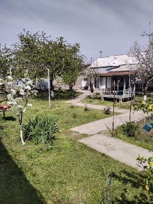 Ташкентская область, Янгибазар