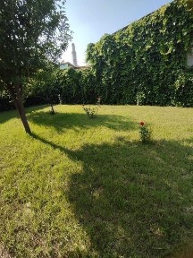 Ташкентская область, Ташкент, Бектемирский район