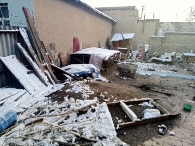 Ташкентская область, Гульбахор