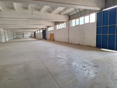 Келес. Продам базу, 64 сотки, 3200м2