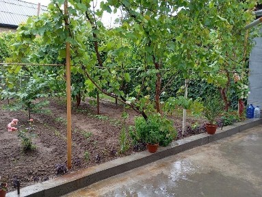 Ташкентская область, Алмалык