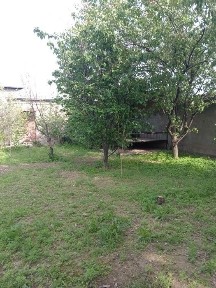 Ташкентская область, Чирчик