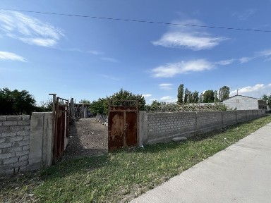 Ташкентская область, Нурафшан (Тойтепа)