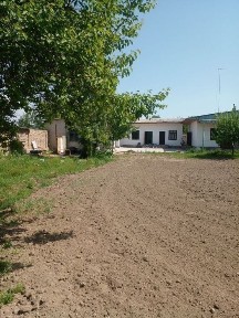 Ташкентская область, Бука