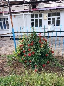 Ташкентская область, Искандар