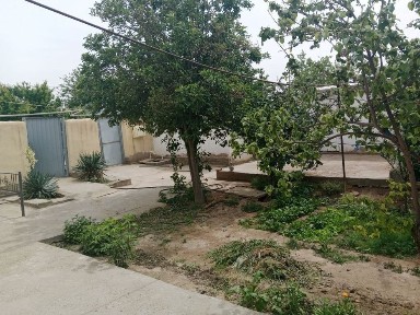 Сурхандарьинская область, Термез