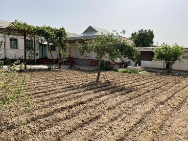 Сурхандарьинская область, Джаркурган