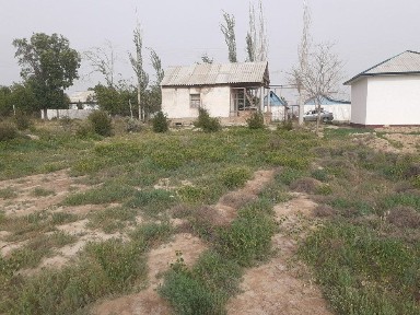 Кашкадарьинская область, Касан