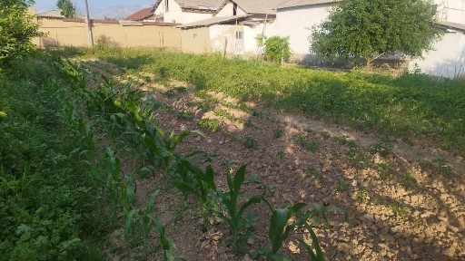 Ташкентская область, Паркент