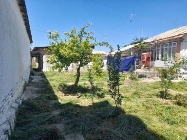 Кашкадарьинская область, Шахрисабз