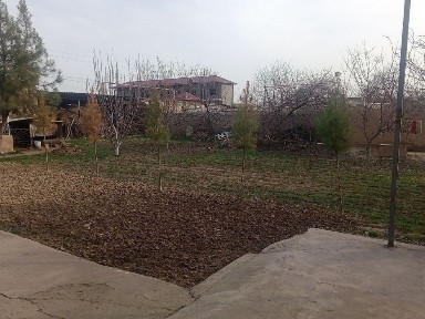 Ташкентская область, Нурафшан (Тойтепа)