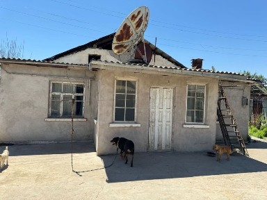 Ташкентская область, Нурафшан (Тойтепа)