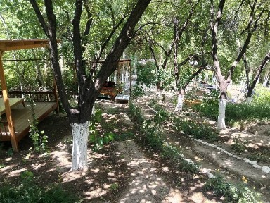 Ферганская область, Фергана