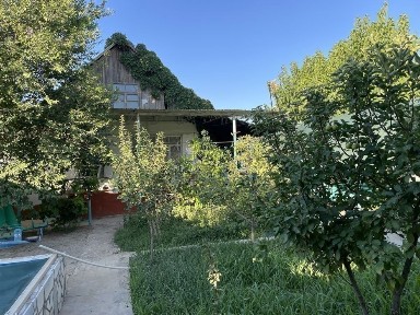 Навоийская область, Зарафшан