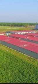 Ташкентская область, Уртааул