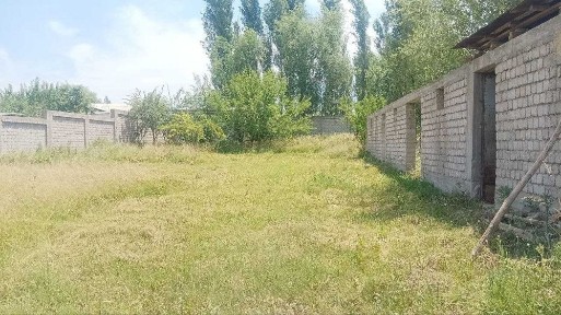 Ташкентская область, Янгиюль