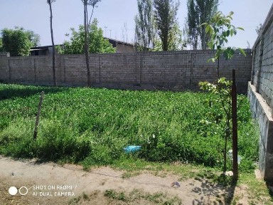 Ташкентская область, Зангиата