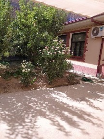 Ташкентская область, Ташкент, Мирзо-Улугбекский район