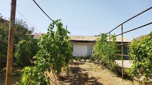 Ташкентская область, Кибрай