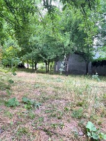 Ташкентская область, Чарвак