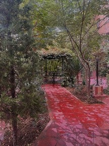 Ташкентская область, Ташкент, Юнусабадский район