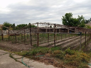 Ташкентская область, Аккурган