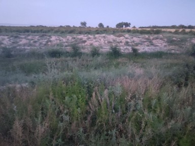 Навоийская область, Канимех