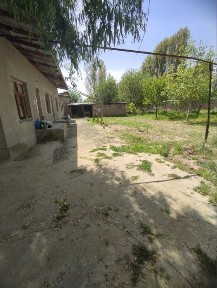 Ташкентская область, Янгиюль