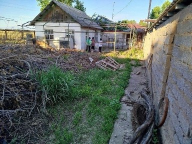 Ташкентская область, Нурафшан (Тойтепа)