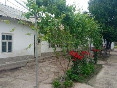 Ташкентская область, Нурафшан (Тойтепа)