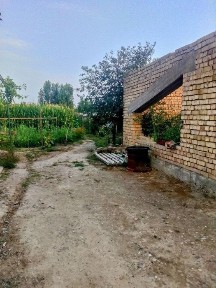 Ташкентская область, Янгиюль