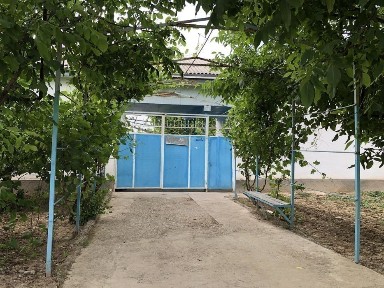 Ташкентская область, Янгиюль