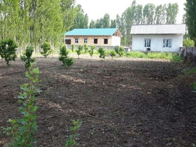 Ташкентская область, Янгибазар