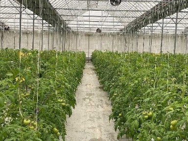 Бухарская область, Гиждуван