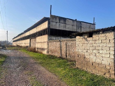 Ташкентская область, Нурафшан (Тойтепа)