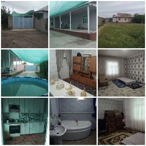 Ташкентская область, Нурафшан (Тойтепа)